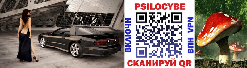 как найти   мориарти как зайти  Псилоцибиновые грибы мицелий  Солигалич 